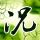 纸牌屋